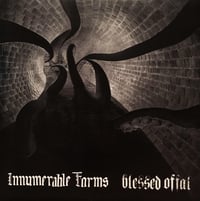 INNUMERABLE FORMS / BLESSED OFFAL - Split LP