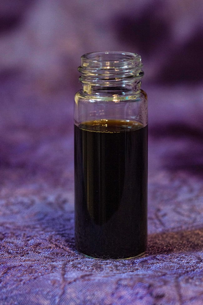 PolyporEver - Sérum Chaga