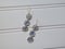 Image of Triple Hex Forget Me Not Earrings