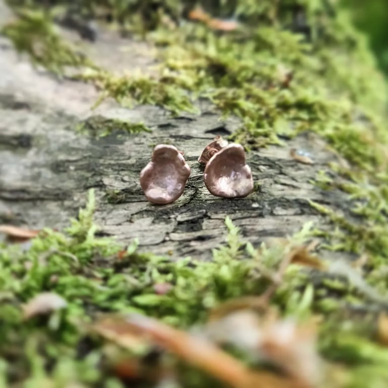 Silver Wast Cast Medium Studs Image 2