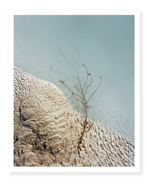 Along The Swift Current Of Time - Teodora Georgieva