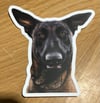 Rescue Sticker