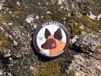 Image 5 of Bat Charity Buttons
