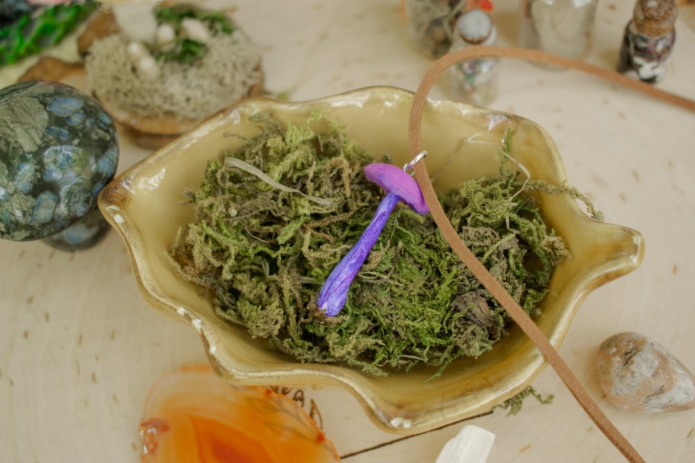 Image of Amethyst Deceiver Mushroom Necklace