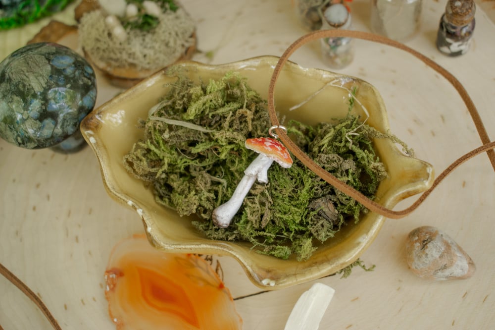 Image of Fly Agaric Mushroom Necklace