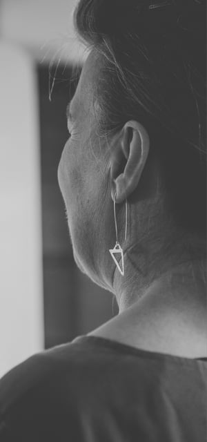 Image of Triangle Collection Large Earrings