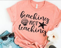 Image 1 of Beaching Not Teaching