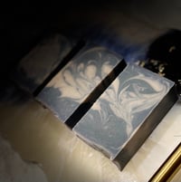 Image 2 of Aloe Eucalyptus 