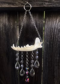 Image 1 of Crystal Rain