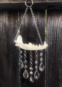 Image 2 of Crystal Rain