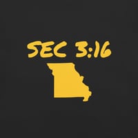 Image 1 of Missouri - Unisex garment-dyed heavyweight t-shirt