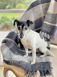 Image 2 of Binge Blankie