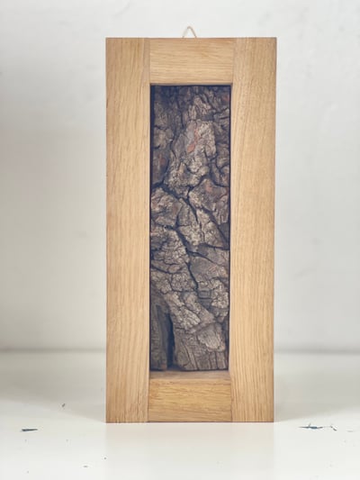 Image of Tobak Gábor: Cím nélkül XVI/X