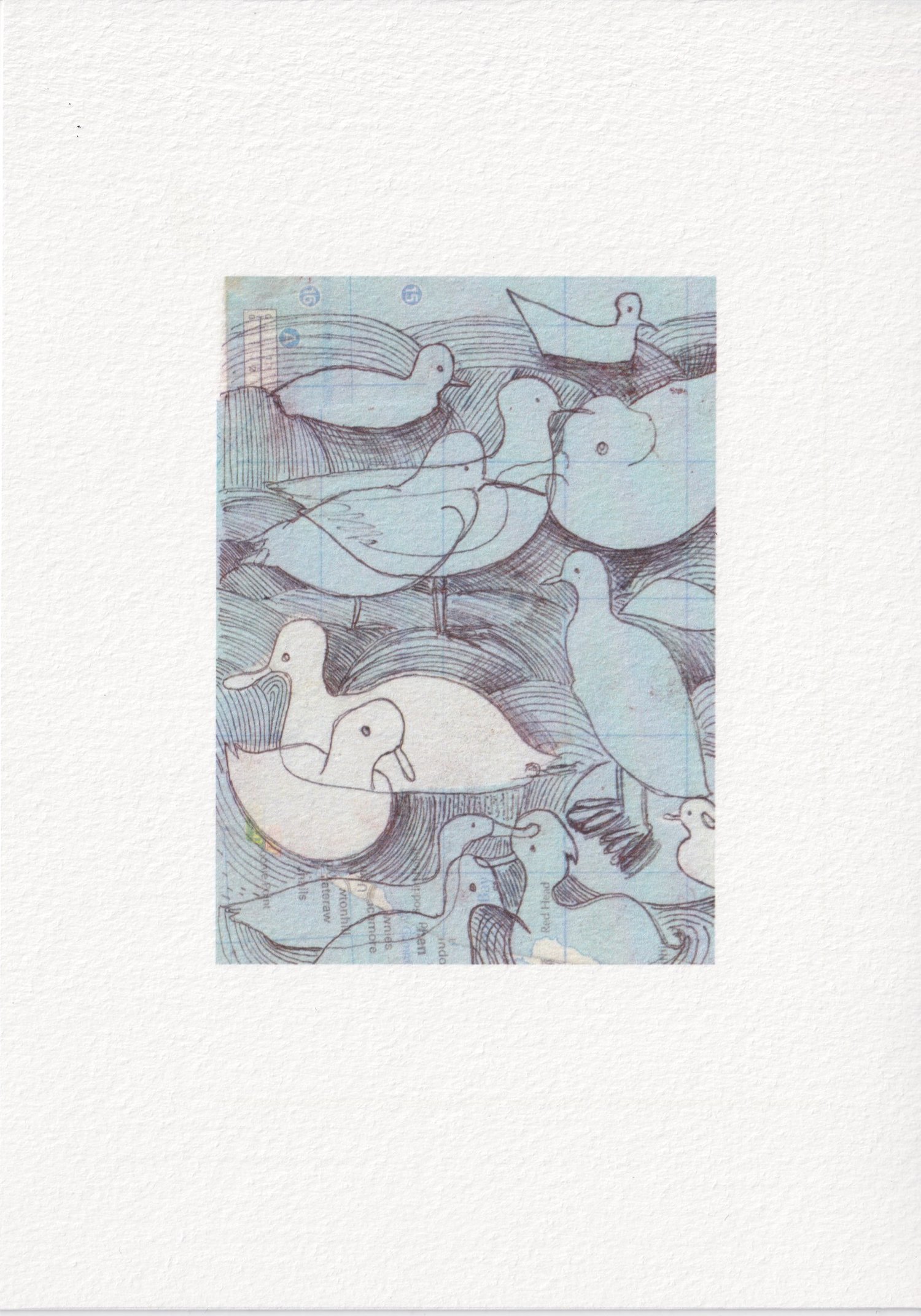 Blue Birds, High Quality Giclee print