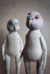 Peach Budgie #3
