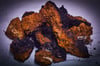 CHAGA séché