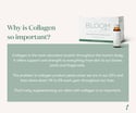 Bloom Collagen Complete