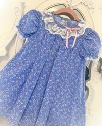Image 2 of Violeta