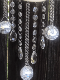 Image 3 of Disco Bones