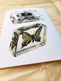 Image 2 of Bugs In Resin Print