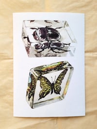 Image 1 of Bugs In Resin Print