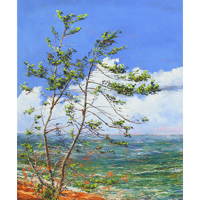 Image 1 of - Endurance -