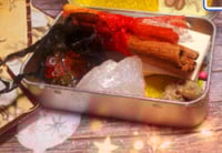 Image 1 of Mini Yule Altar Spell Tin