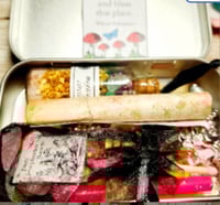 Image 3 of Mini Fairy Garden Spell Tin