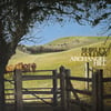 Shirley Collins - Archangel Hill LP (green grass vinyl)