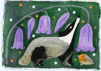 Badger and Bluebells