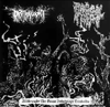 DISTRAUGHT /FAECAL TRIPE - Allthrought The Gross Infectology Thresholds CD