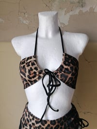 Image 3 of Bandeau Bikini Top Leo