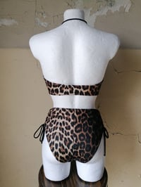 Image 5 of Bandeau Bikini Top Leo
