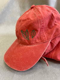 Image 1 of SKP Bay Leaf Cap