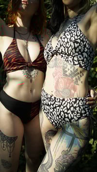 Image 2 of High Waist Bikini Pants / ALL COLORS