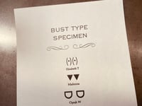 Image 1 of Bust Type Specimen for Connoisseurs/Connaisseurs