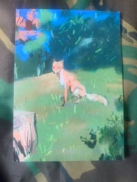 FOX POSTCARD 