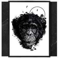 Image 2 of CHIMPANZEE  JUNGLE FACE x PROJET PRIMATE