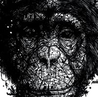 Image 4 of CHIMPANZEE  JUNGLE FACE x PROJET PRIMATE