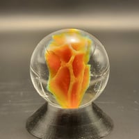 Image 4 of Sealife (Barrel Sponge) - 2023