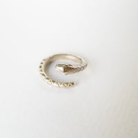 Image 4 of Serpentino