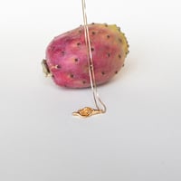 Image 1 of Pussiflora