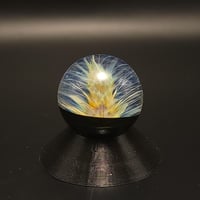 Image 1 of Feathercomb - 2023