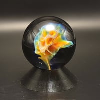 Image 3 of Aerial burst - 2023