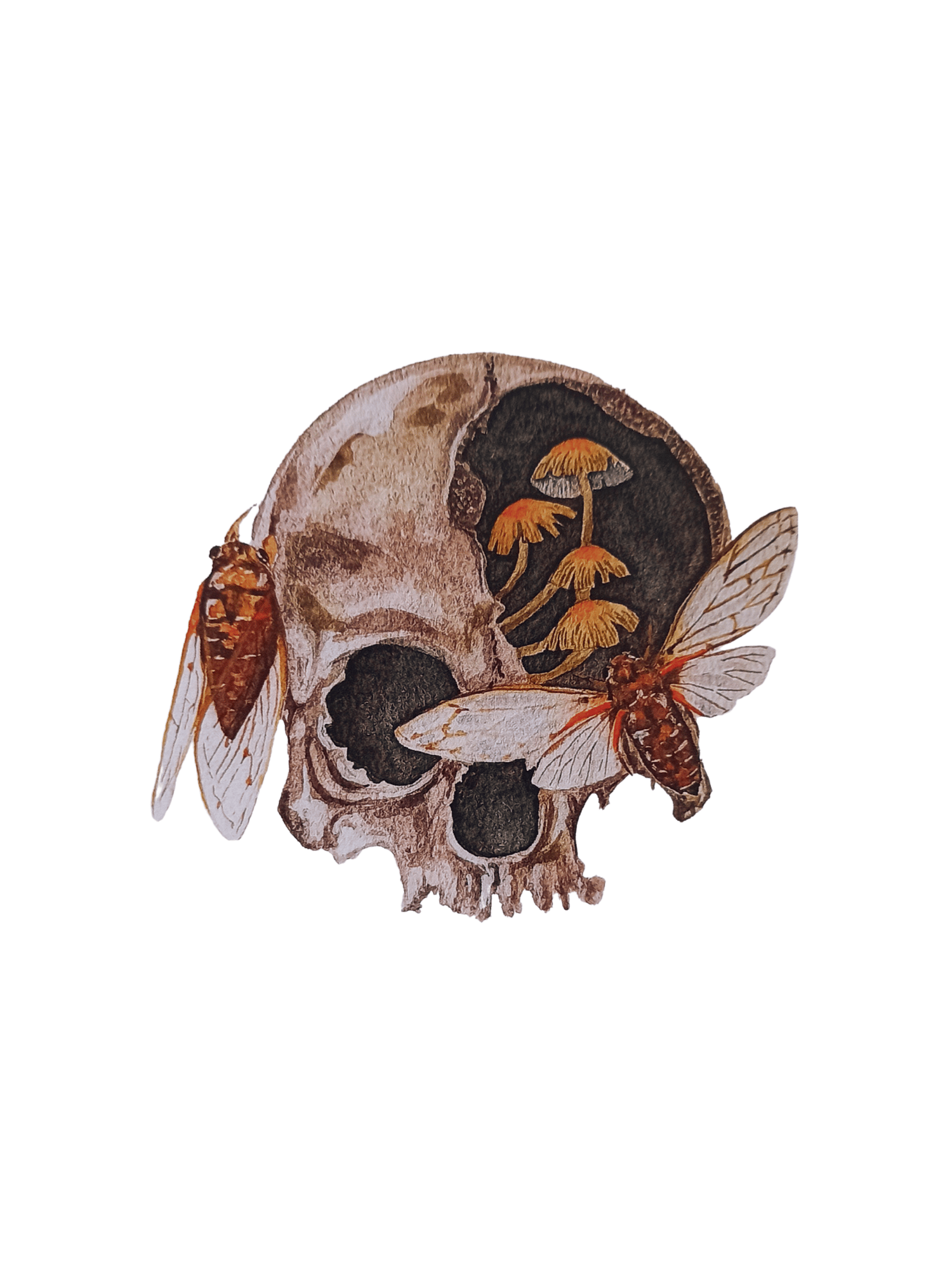 Image of Skull-Cicadas Watercolor Illustration PRINT 