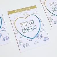 Image 3 of Mystery Grab Bag