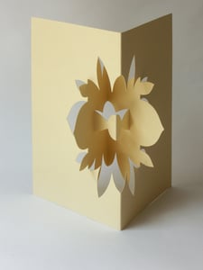 Image of lotus flower