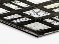 Image 5 of Spécimen Urbain