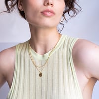 Image 2 of Collar Luminarias