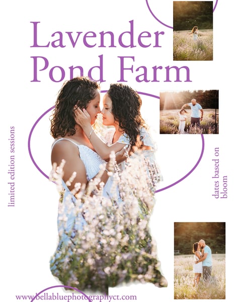 Image of Lavender Pond Farm June  with Bella Blue Photography 